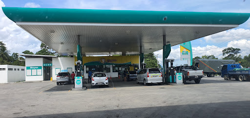 PETRONAS Moyan