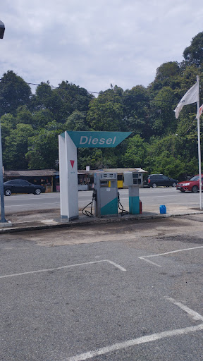 Petronas